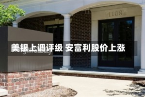 美银上调评级 安富利股价上涨