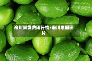 洛川果袋费用行情/洛川果园图片