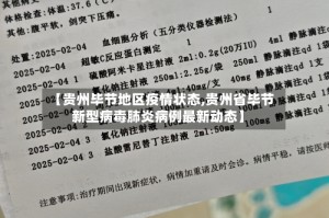 【贵州毕节地区疫情状态,贵州省毕节新型病毒肺炎病例最新动态】