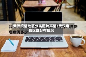 武汉疫情地区分类图片高清/武汉疫情区域分布情况