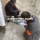 【金山疫情地区分布图片,金山疫情地区分布图片大全】