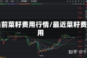 当前菜籽费用行情/最近菜籽费用