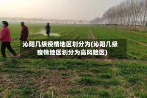 沁阳几级疫情地区划分为(沁阳几级疫情地区划分为高风险区)