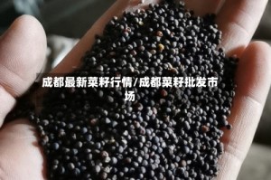 成都最新菜籽行情/成都菜籽批发市场