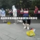 临汾有疫情的地区吗最新(临汾有新冠了吗)