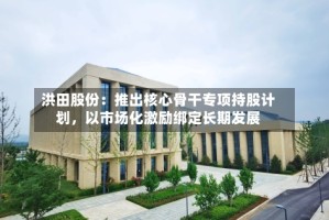 洪田股份：推出核心骨干专项持股计划，以市场化激励绑定长期发展