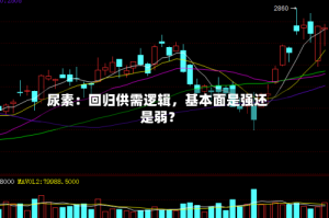 尿素：回归供需逻辑，基本面是强还是弱？