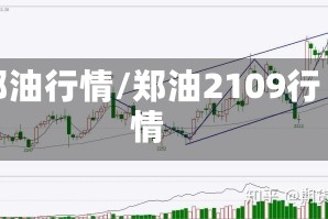 郑油行情/郑油2109行情