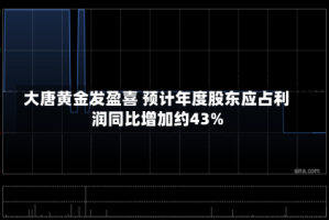 大唐黄金发盈喜 预计年度股东应占利润同比增加约43%