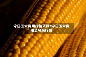 今日玉米费用行情预测/今日玉米费用及今后行情