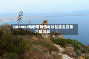 Calamos动态可转债与收益基金宣布月度派息