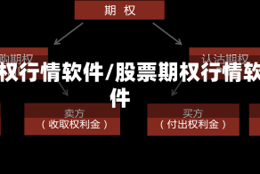 期权行情软件/股票期权行情软件