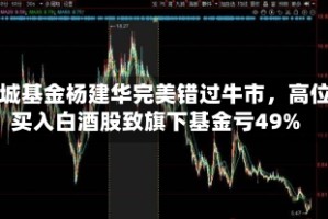 长城基金杨建华完美错过牛市，高位买入白酒股致旗下基金亏49%