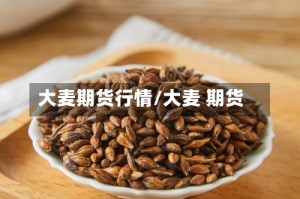大麦期货行情/大麦 期货
