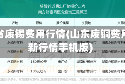 山东省废锡费用行情(山东废铜费用最新行情手机版)