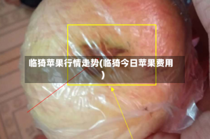 临猗苹果行情走势(临猗今日苹果费用)
