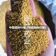 中国菜籽行情.(中国菜籽行情)