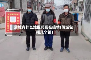 蒲城有什么地区吗现在疫情(蒲城包括几个镇)