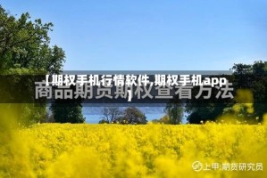 【期权手机行情软件,期权手机app】