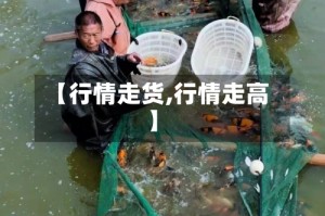 【行情走货,行情走高】