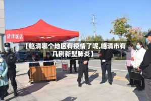 【临清哪个地区有疫情了呢,临清市有几例新型肺炎】