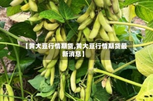 【黄大豆行情期货,黄大豆行情期货最新消息】
