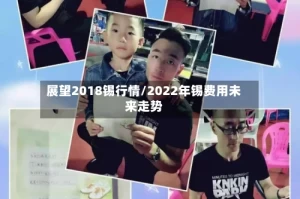 展望2018锡行情/2022年锡费用未来走势