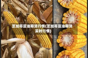 芝加哥豆油期货行情(芝加哥豆油期货实时行情)