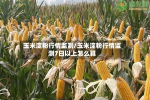 玉米淀粉行情监测/玉米淀粉行情监测7日以上怎么算