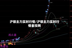 沪银主力实时行情/沪银主力实时行情金投网