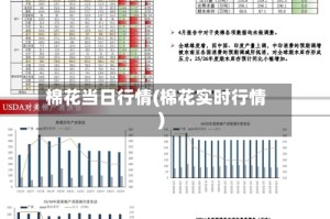 棉花当日行情(棉花实时行情)