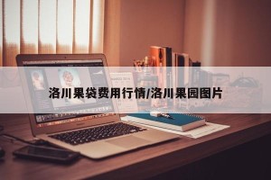 洛川果袋费用行情/洛川果园图片
