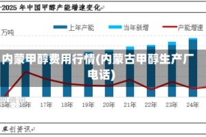 内蒙甲醇费用行情(内蒙古甲醇生产厂电话)
