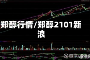 郑醇行情/郑醇2101新浪