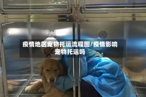 疫情地区宠物托运流程图/疫情影响宠物托运吗