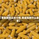 【普麦期货实时行情,普麦指数什么意思】