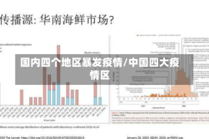 国内四个地区暴发疫情/中国四大疫情区