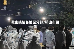 鞍山疫情各地区分部/鞍山市役情