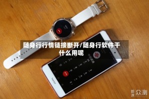 随身行行情链接断开/随身行软件干什么用呢