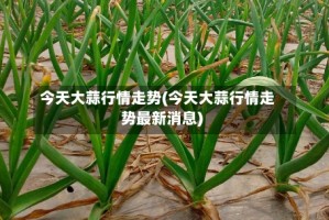 今天大蒜行情走势(今天大蒜行情走势最新消息)