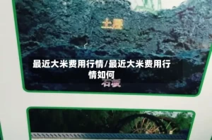 最近大米费用行情/最近大米费用行情如何