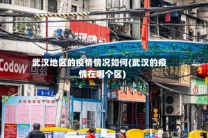 武汉地区的疫情情况如何(武汉的疫情在哪个区)