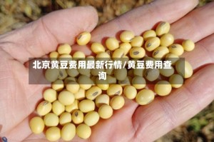 北京黄豆费用最新行情/黄豆费用查询