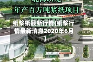 纸浆纸最新行情(纸浆行情最新消息2020年6月)