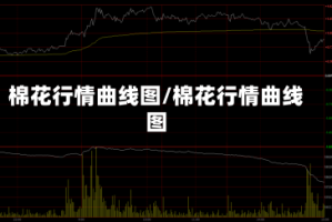 棉花行情曲线图/棉花行情曲线图