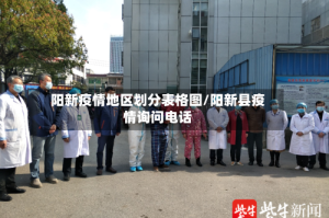 阳新疫情地区划分表格图/阳新县疫情询问电话