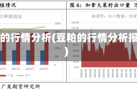 豆粕的行情分析(豆粕的行情分析报告)
