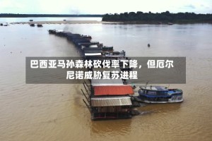 巴西亚马孙森林砍伐率下降，但厄尔尼诺威胁复苏进程