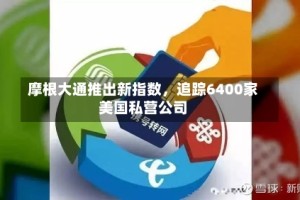 摩根大通推出新指数，追踪6400家美国私营公司