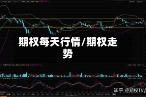 期权每天行情/期权走势